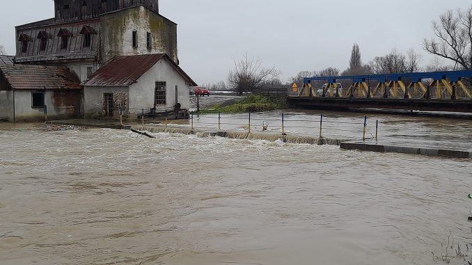 Фото: Віталій Собко