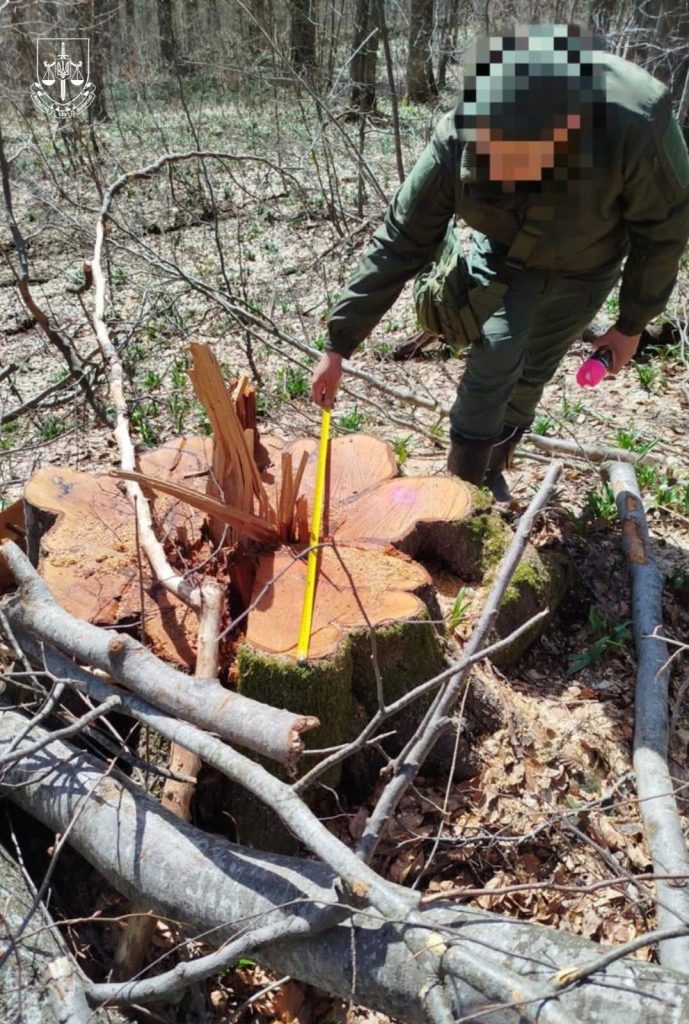 Скандал довкола «Лісів України»: прокуратура подала позов на захист пралісів