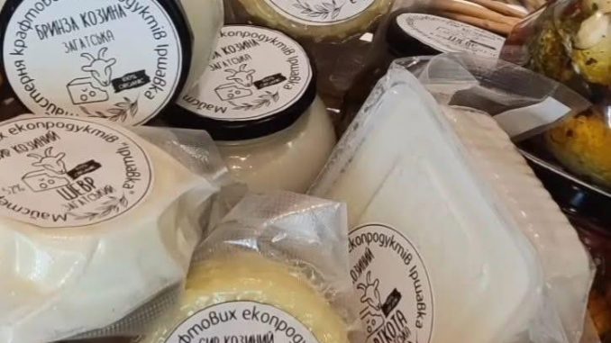 499799363_1008109834826900_333059216082241552_n