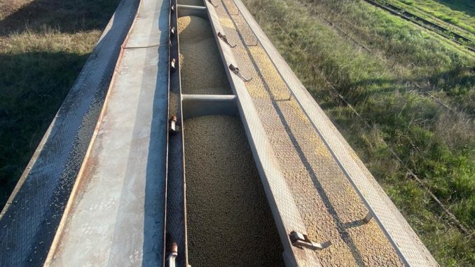 505866110_728423453052483_6631576947651809985_n