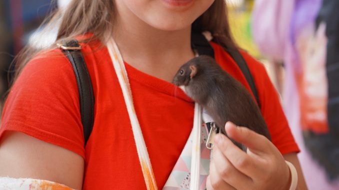 512547093_1127876472699918_4343525869785203673_n