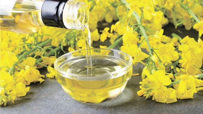 eob8hg8zg9d05fteczrxq1dstu61n56a