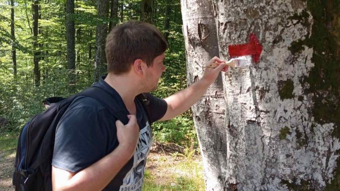 532348177_1244951761010198_2193303540287386815_n