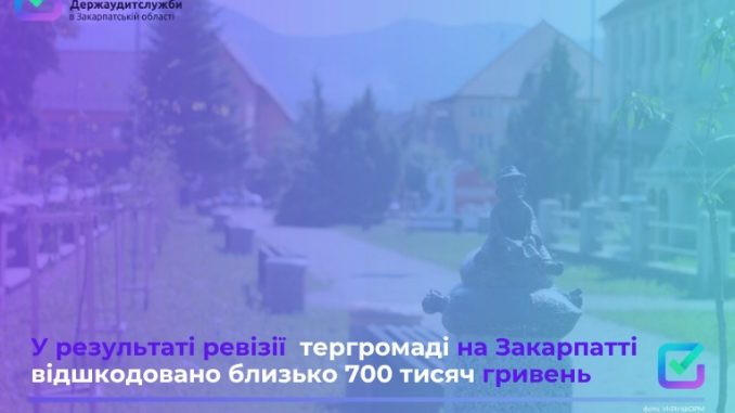 Порушення на 2 мільйони: аудитори виявили схеми несплати за оренду землі у Вишківській громаді