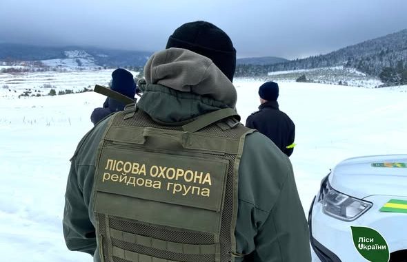 Ялинка за 50 тисяч: на Закарпатті карають перших «ялинкових» браконьєрів