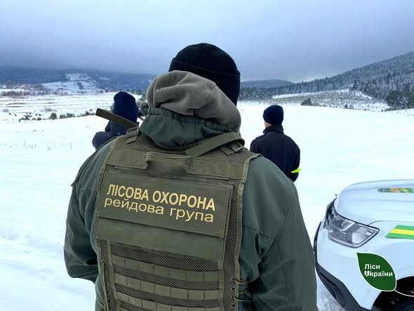 Ялинка за 50 тисяч: на Закарпатті карають перших «ялинкових» браконьєрів
